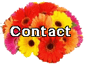 Contact button